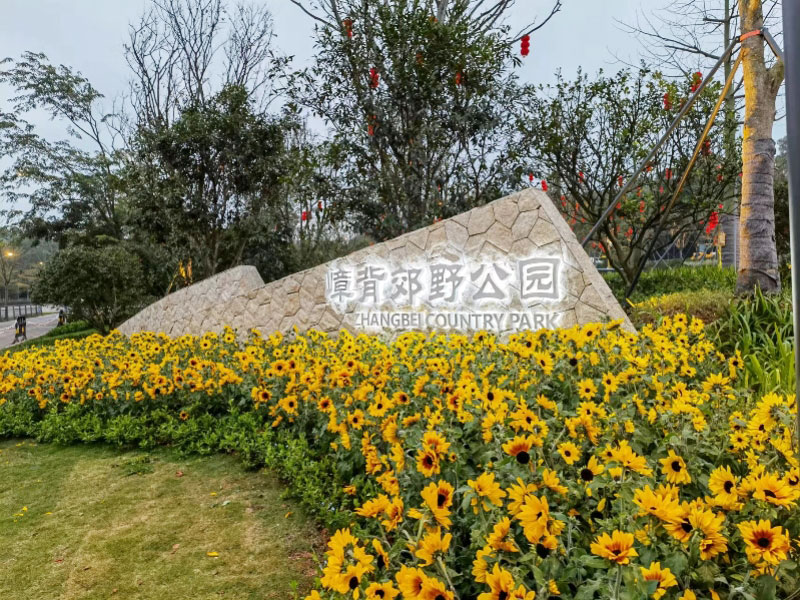 深圳郊野公园
