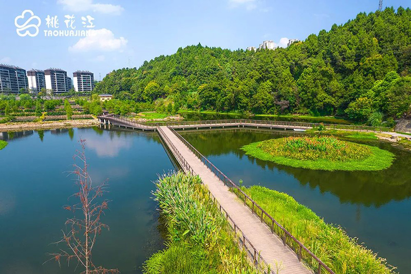 宜昌沙河湿地公园