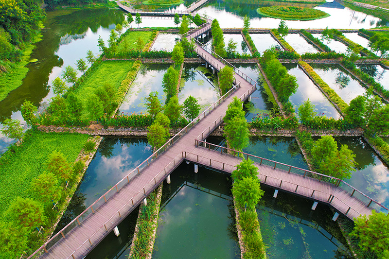 宜昌沙河湿地公园竹木栈道