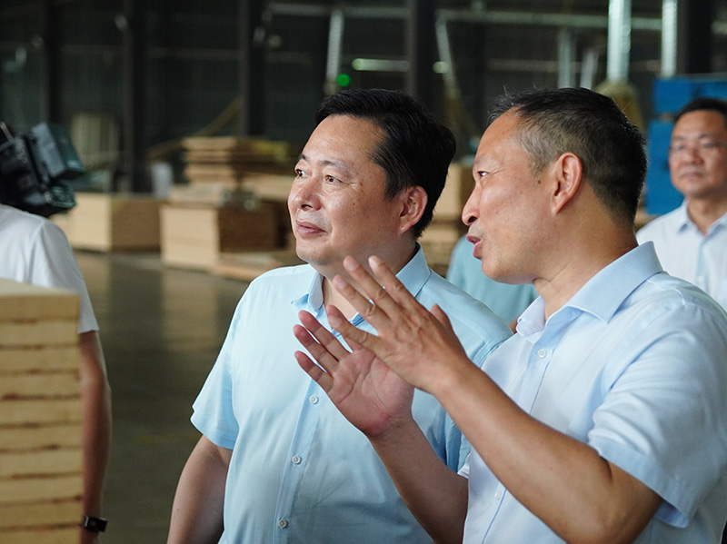 桃花江竹材董事长正在向熊市长汇报 桃花江竹材董事长正在向熊市长汇报