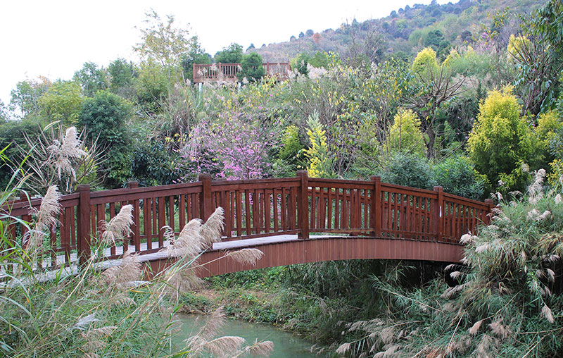 弥勒河风景区-棕色竹木栏杆